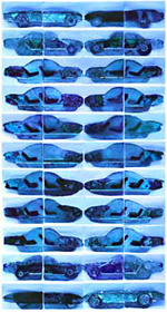 blaue Version